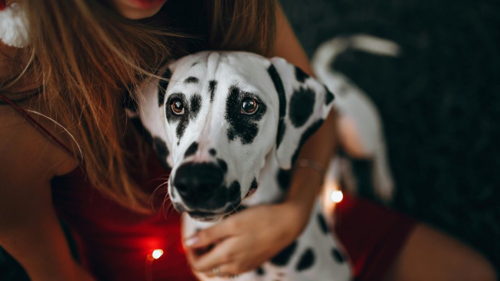 El Poder del Contacto Piel con Piel en Bebés y Mascotas