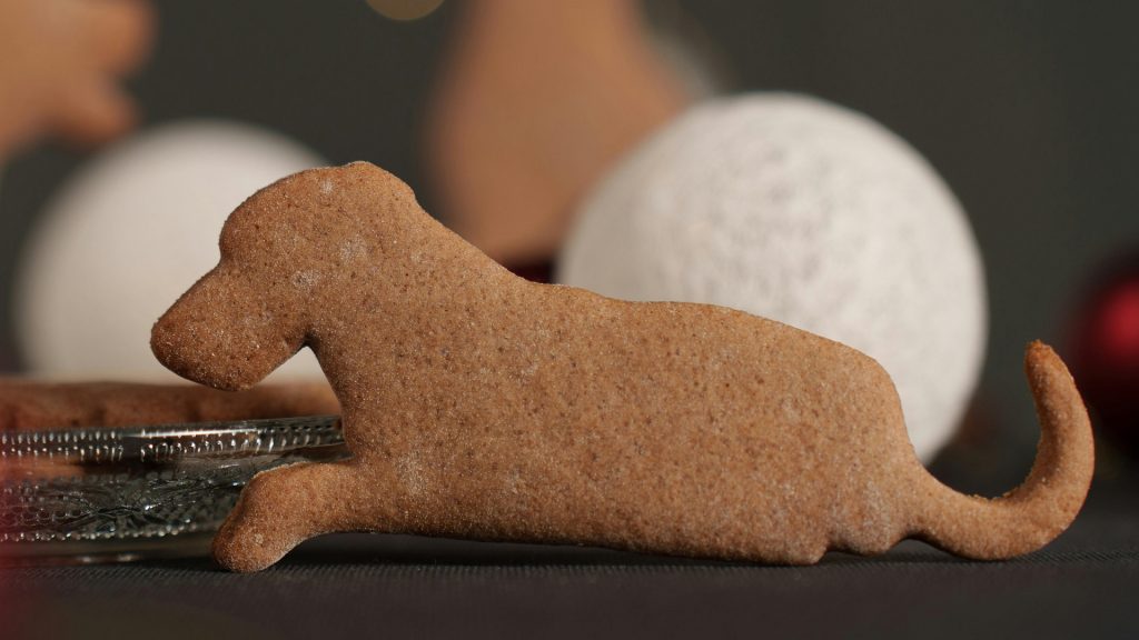 Receta de galleta para perros con omega 3