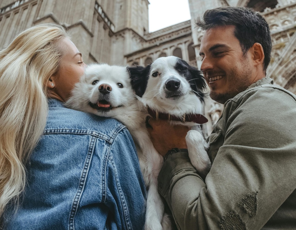 Networking especializado