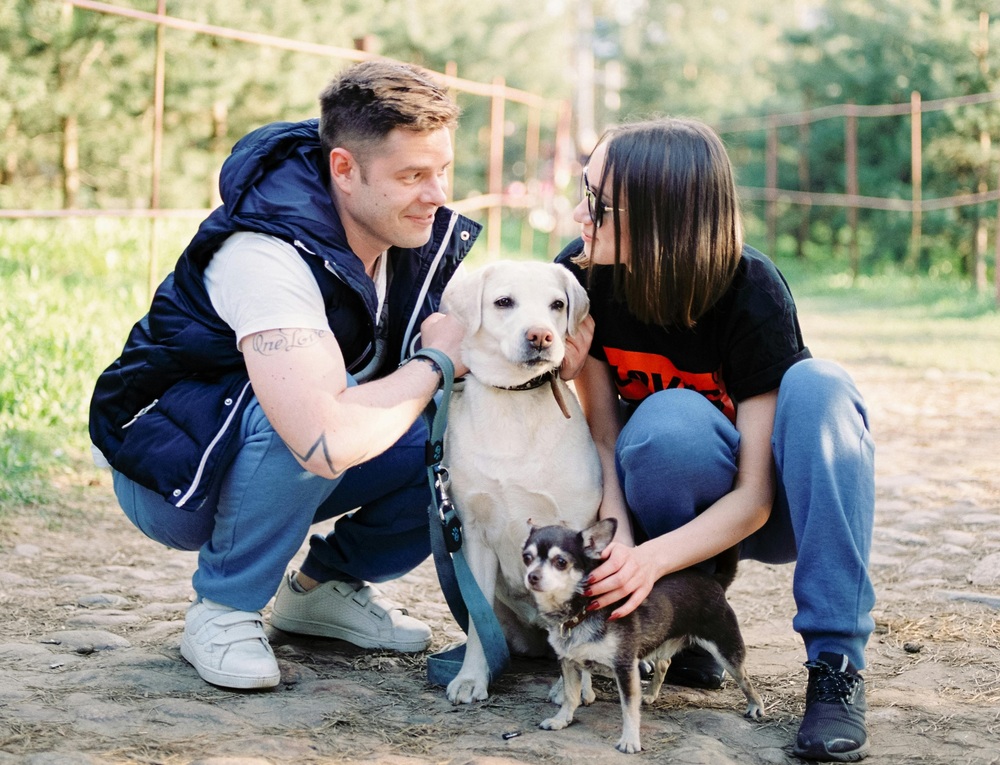 Marketing eficaz y publicidad orgánica